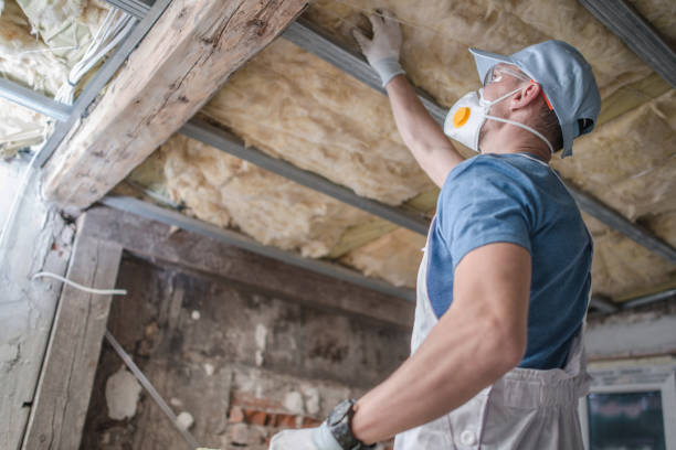 Best Specialized Insulation Services in Kernersville, NC