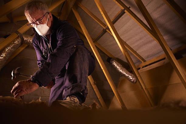 Trusted Kernersville, NC Insulation Contractor Experts